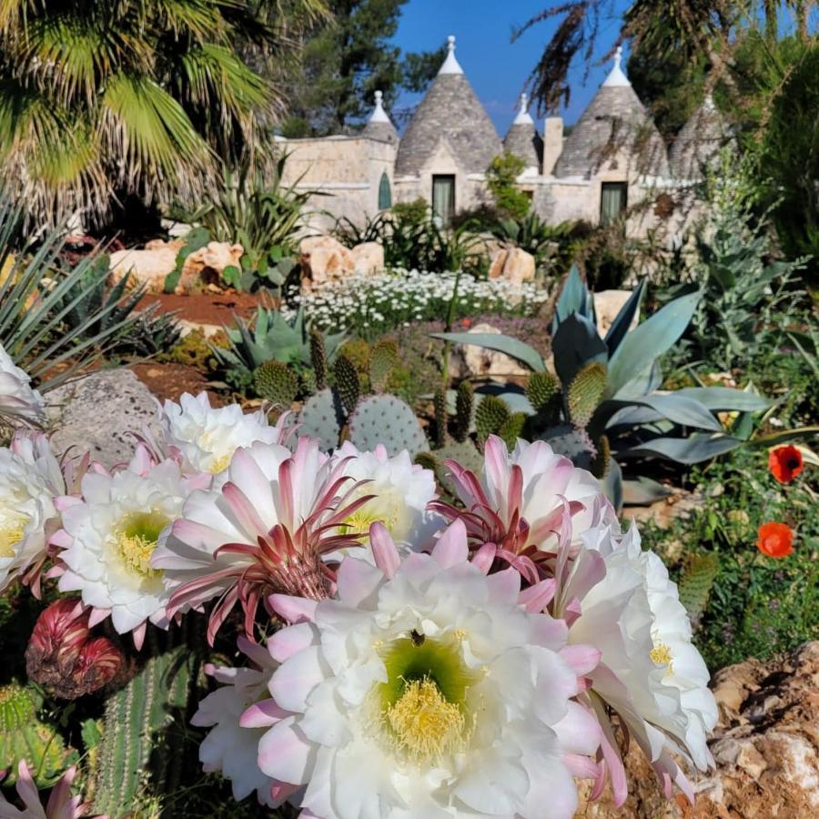 Trullo Bosco Libero Ostuni Villa Buitenkant foto