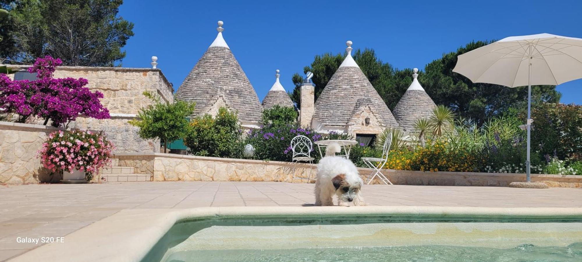 Trullo Bosco Libero Ostuni Villa Buitenkant foto