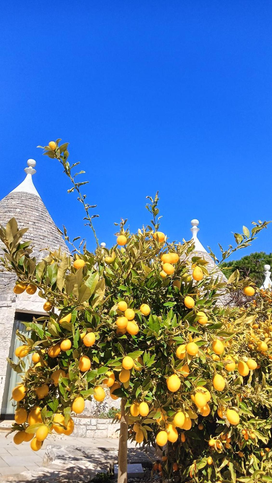Trullo Bosco Libero Ostuni Villa Buitenkant foto