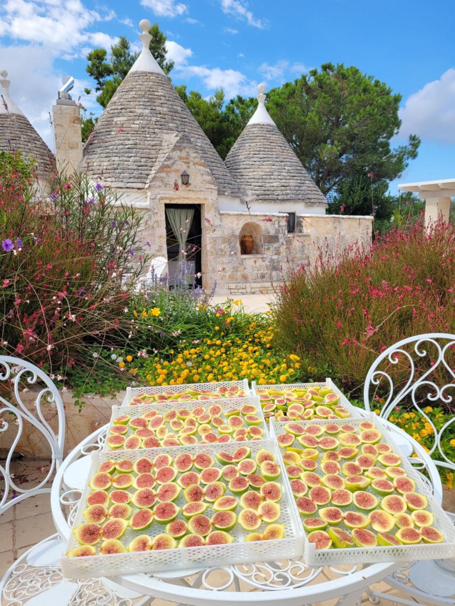 Trullo Bosco Libero Ostuni Villa Buitenkant foto