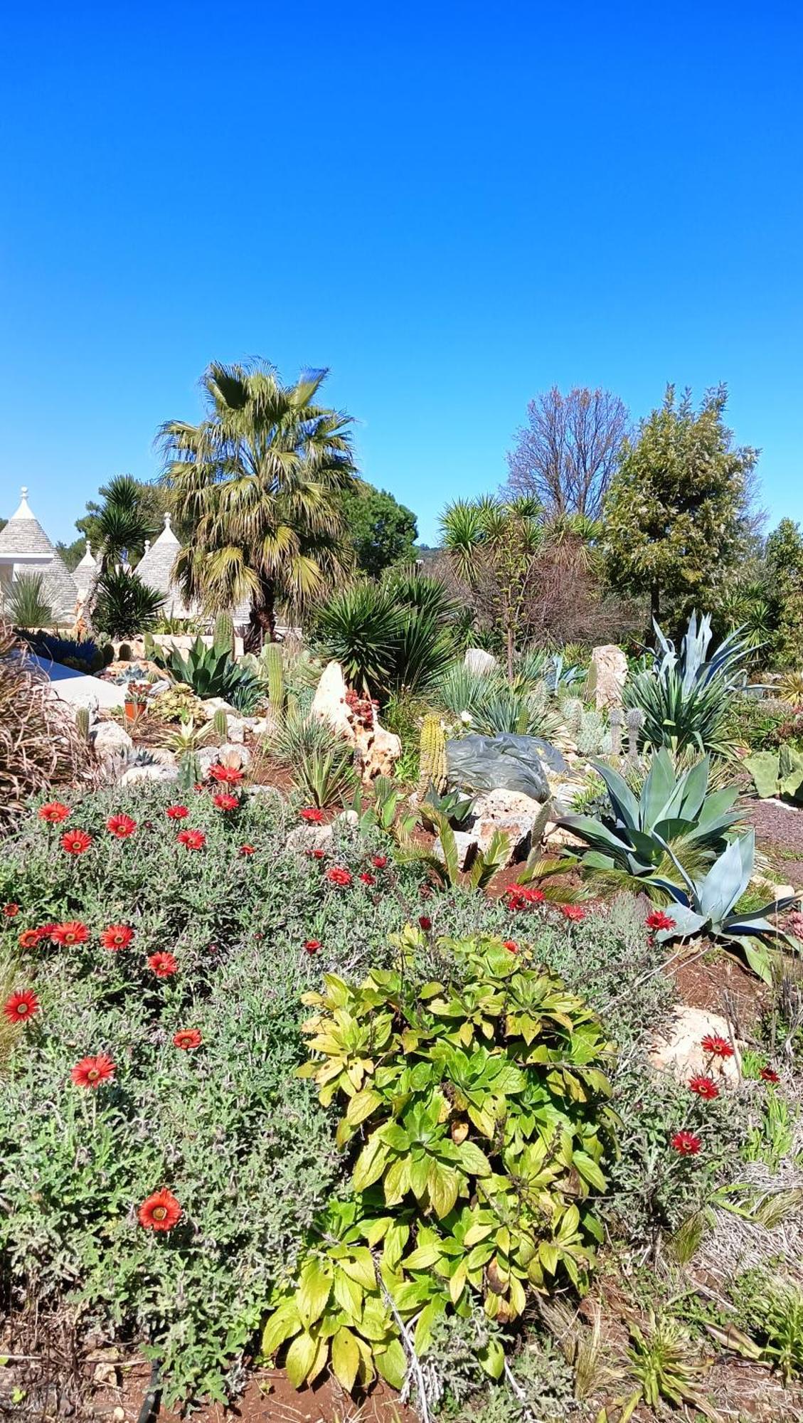 Trullo Bosco Libero Ostuni Villa Buitenkant foto